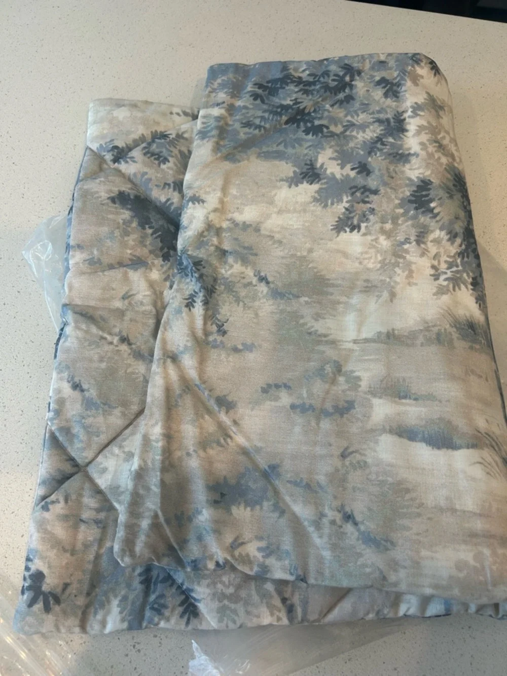 Pottery Barn Jardin Toile Standard Pillow Sham